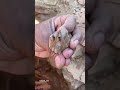 استخراج احجار الكوارتز استخراج احجار الكوارتز