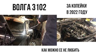 Волга 3102 за копейки в 2022 году! Как можно ее не любить