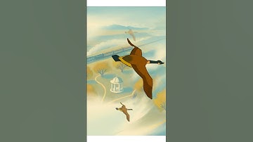 Scene transition 2D animation, birds flying, traditional handmade animation, Procreate Dreams