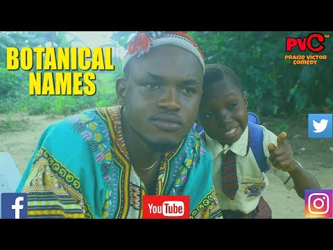 LOOK AT WHAT PRAIZE VICTOR DID TO THIS BOY(BOTANICAL NAME) ..LOL