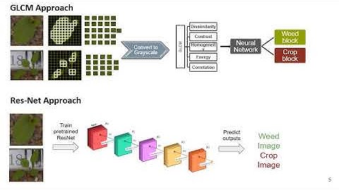2019 Team B Precision Weed Detection using Machine Learning