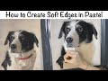 How to Create Soft Edges on Fur in Pastel