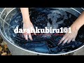 How to Wash Your Denim Pants / Cara Mencuci Celana Denim ( Machine Wash & Hand Wash ) | DB101