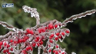 Brasov - Farmecul Ghetii - Fenomenul Freezing Rain...