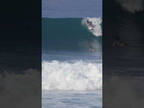 Rio Waida Shredding