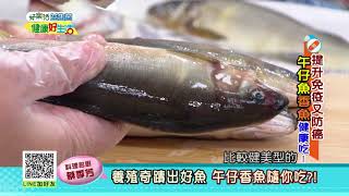 20180816 健康好生活提升免疫又防癌午仔魚香魚健康吃