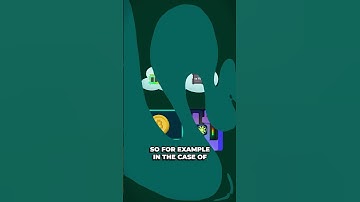 Virtual Machine for Ethereum? EVM explained