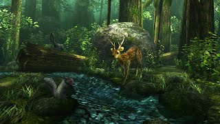 Forest HD Live Wallpaper By DualBoot Games screenshot 5