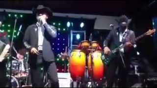 LA JAULA DE ORO - GRUPO TORNADO EN VIVO