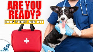 Vet Explains What Is & Isn't An Emergency For Your Dog by McCann Dog Training 24,305 views 6 months ago 11 minutes, 9 seconds