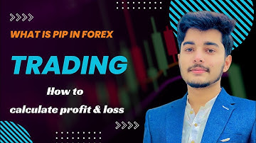 what is pip in forex trading | lot size and pip explained | calculate profit and loss in forex