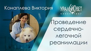 Проведение сердечно-легочной реанимации. Конаплева Виктория #убвк_интенсивная_терапия