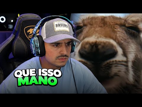 THE MOST BIZARRE ANIMALS IN AUSTRALIA - CORINGA REACTS #02