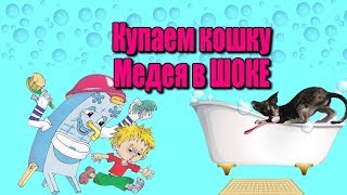 Как помыть кота Сфинкс плавает Уход за сфинксом Как помыть кота Сфинкс плавает Уход за сфинксом