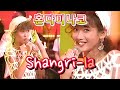 혼다미나코(本田美奈子) - Shangri-la/교차편집/STAGE MIX/REMIX