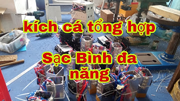 Kích cá kích lươn kích ếch kích tổng hợp kích chuyên rô phi. Lh 0974332393