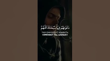 إن الذين أمنوا وعملوا الصالحات يهديهم ربهم  - القارئ شريف مصطفى - صوته كأنه قادم من السماء Quran 🥺