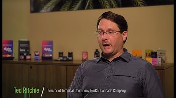 NorCal Cannabis Uses Ambient.ai for AI-powered Forensic Investigations