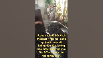 Cơm Rượu Nếp Cẩm . Tứ Trưng Tửu !