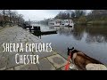 Wandering in Chester | Sherpa&#39;s day out | Christmas Market