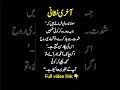 jub koi yaad karta hai to kiya hota hai#urduquotes #rumi #shorts