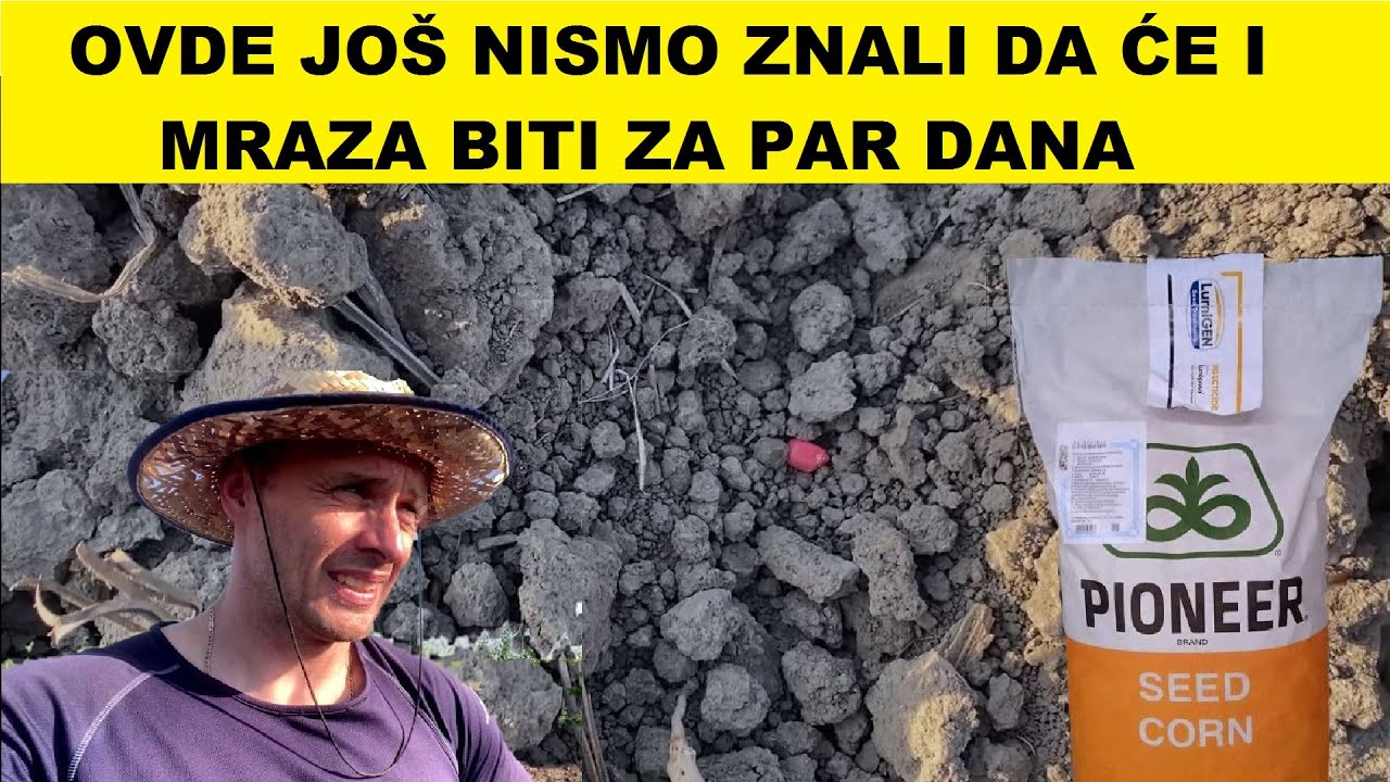 Setva kukuruza u jeku suše a pre kiše #IMT #Nodet