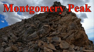Montgomery Peak & Boundary Peak Climb - 5 June 2021