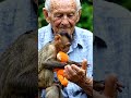 monkey #viral #funny #viralvideo #lifeisbutadream #trending #reels #viralshorts #video