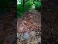 清掃後の河川敷(足立区)/After clean up Action at Arakawa River