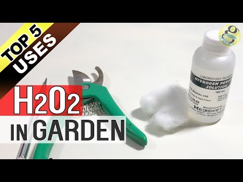 HYDROGEN PEROXIDE in Garden | Top 5 Uses of Hydrogen-peroxide in Gardening H2O2