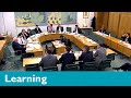 What are select committees and how do they work?
