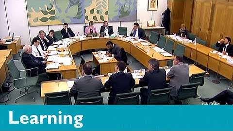 What are select committees and how do they work?