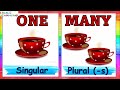 One and Many (Singular and Plural ) I Singular &amp; Plural nouns for kids I  English Grammar for kids