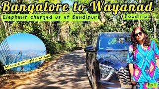 Bangalore to Wayanad Roadtrip|ELEPHANT CHARGED US|Attamala New glass bridge|Coffee Acres Resort|Ep1