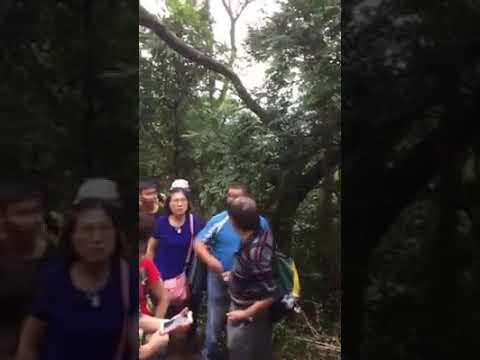 樂活山林 長青健行疑路線規劃不周，擁擠難行