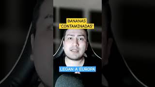 Bananas con el polvo blanco llegan a Georgia &#39;Escandalo&#39;