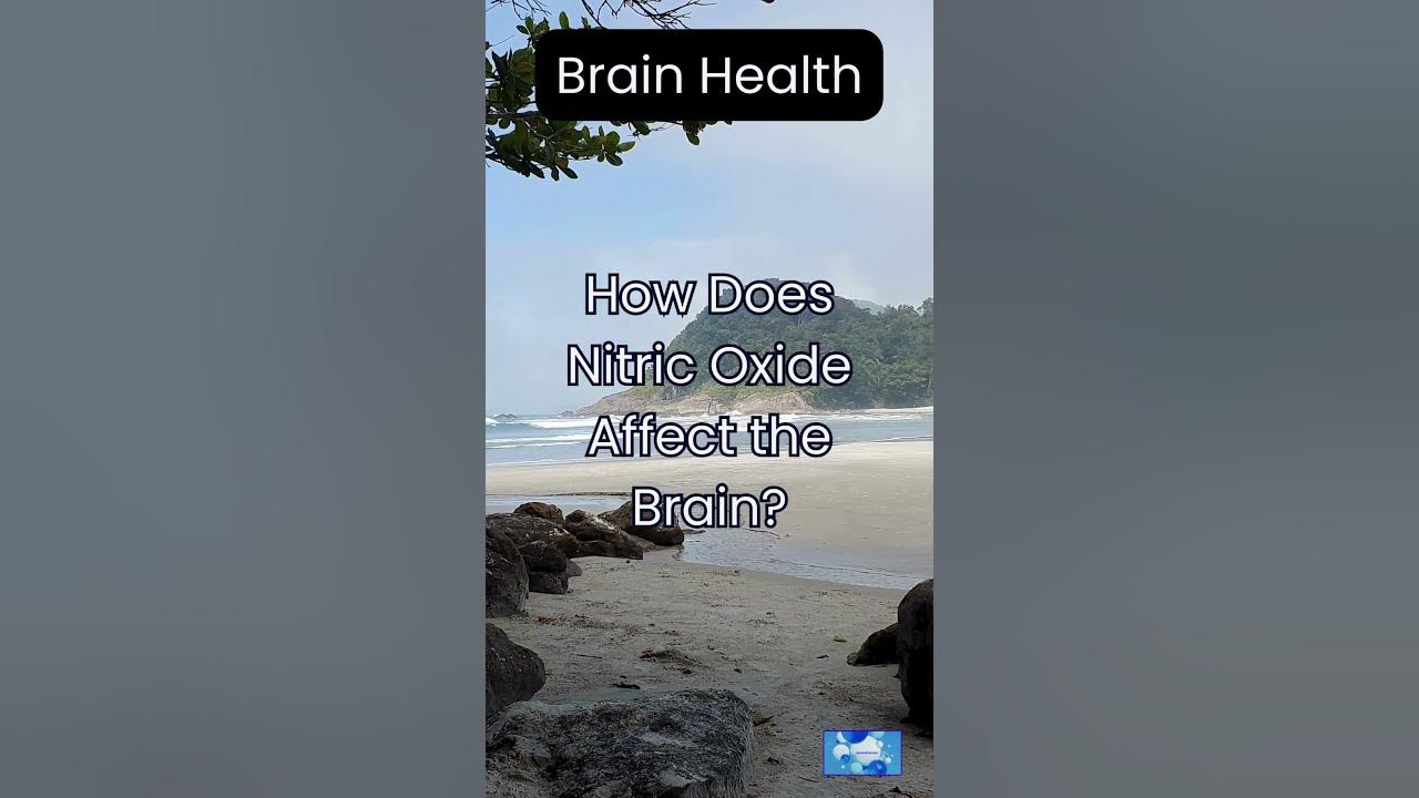 How Does Nitric Oxide Affect the Brain? YouTube