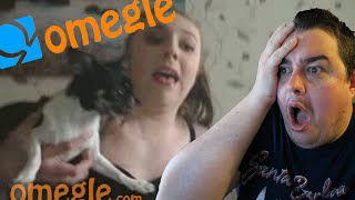 Dog Bites Fan!! // Daz Omegle Meet