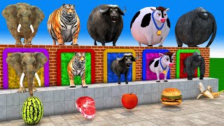 Download Lagu Long Slide Game With Cow Elephant Gorilla Hippopotamus Tiger - 3d Animal Game - Funny 3d Animals MP3 Download Lagu Long Slide Game With Cow Elephant Gorilla Hippopotamus Tiger - 3d Animal Game - Funny 3d Animals MP3