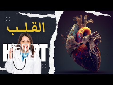 10 معلومات مدهشة لا تعرفها عن القلب