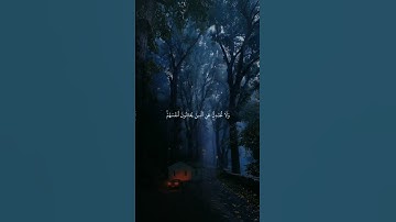 أكتب شئ تؤجر عليه| القارئ ياسر الدوسري 🎧 #المصحف #راحة_نفسية #لايك