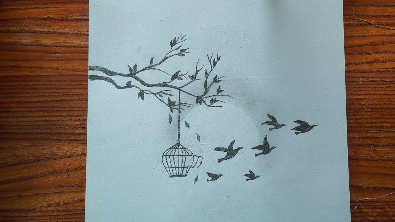 رسم بقلم الرصاص طيور متحرره من القفص (DrawingpencilsDrawing birds freed  from the cage)