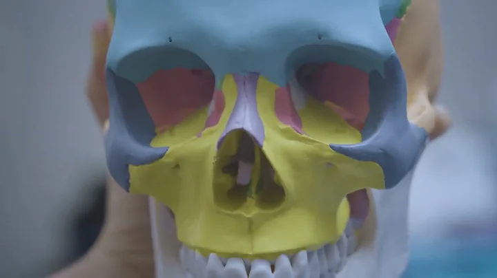 Axial Skeleton Tutorial