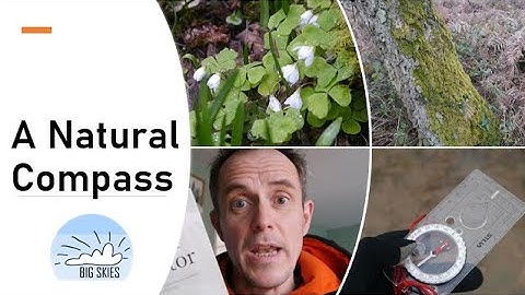 Navigate without a compass Pt 1. - Trying Natural Navigation