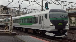 Ｅ257系 5000番代 OM-91編成 集約臨時列車 大船駅通過