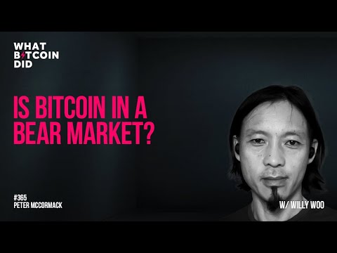 Is Bitcoin in a Bear Market? with Willy Woo