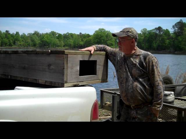 1 Preston Pitman Using a Catfish Box for Hand Grabbing 1 