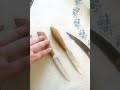 Два скіска(окіска).Або пара селянських майже колодачів