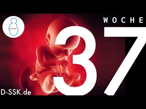 Video: 37 Wochen schwanger - was zu erwarten ist