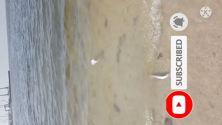 ICAD 3 Nice VIDEO#Sameen Contctarion work vlog#